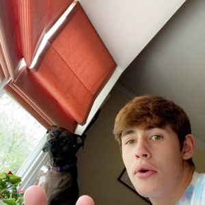 Meet your Posher, Gavin